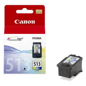 Originale Canon inkjet cartuccia A.R. security Chromalife 100+ CL-513 - 13 ml - colore - 2971B009